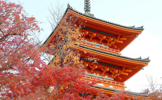 京都　紅葉　清水寺